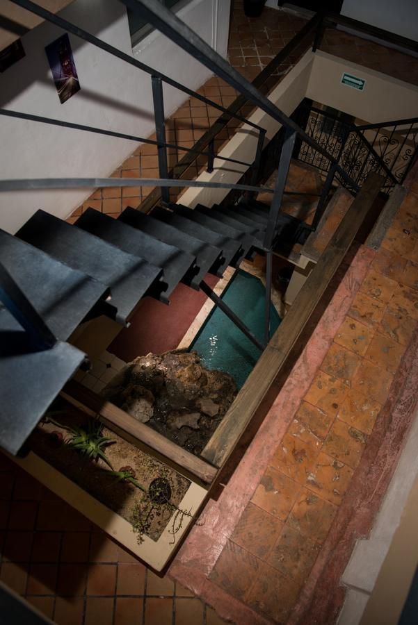 Deja Hostel بلايا ديل كارمن المظهر الخارجي الصورة