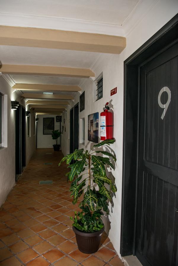 Deja Hostel بلايا ديل كارمن المظهر الخارجي الصورة