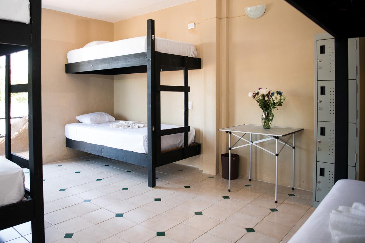 Deja Hostel بلايا ديل كارمن المظهر الخارجي الصورة