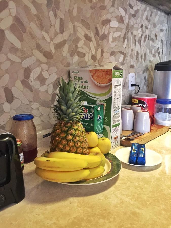 Deja Hostel بلايا ديل كارمن المظهر الخارجي الصورة